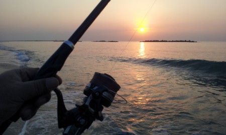 マゴちんゲット♪